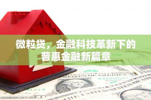 惠东微粒贷，金融科技革新下的普惠金融新篇章