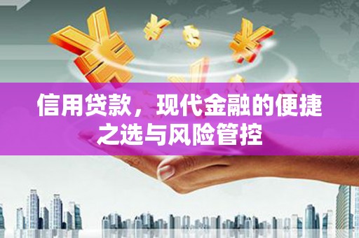 原州信用贷款，现代金融的便捷之选与风险管控