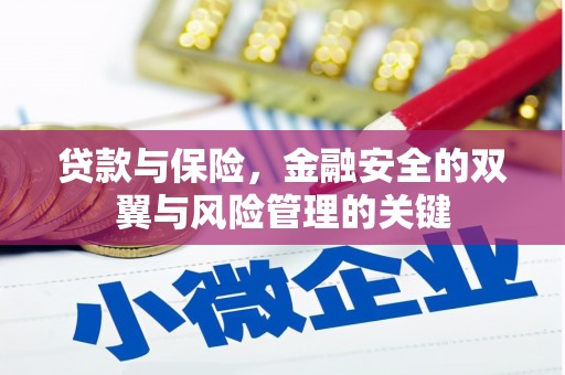 屏南贷款与保险，金融安全的双翼与风险管理的关键