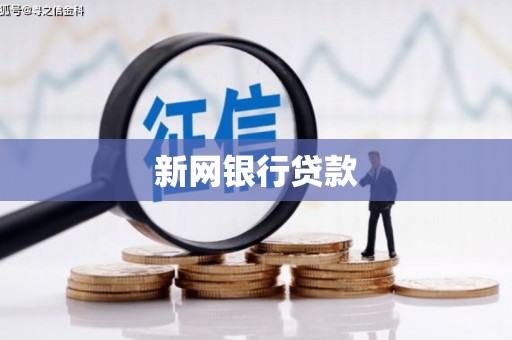 浮梁新网银行贷款