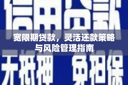 田林宽限期贷款，灵活还款策略与风险管理指南
