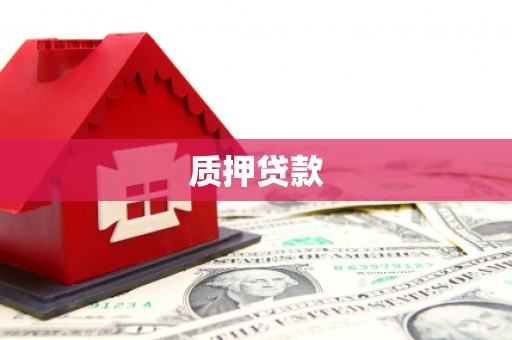 长兴质押贷款