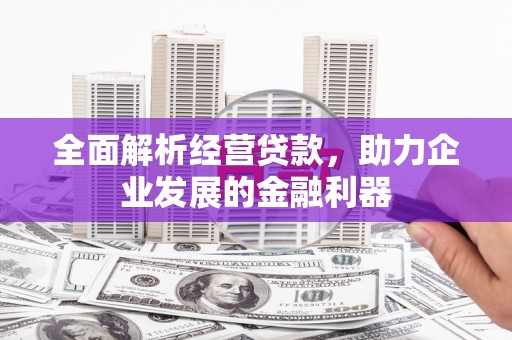 台前全面解析经营贷款，助力企业发展的金融利器