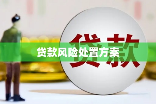 丰县贷款风险处置方案