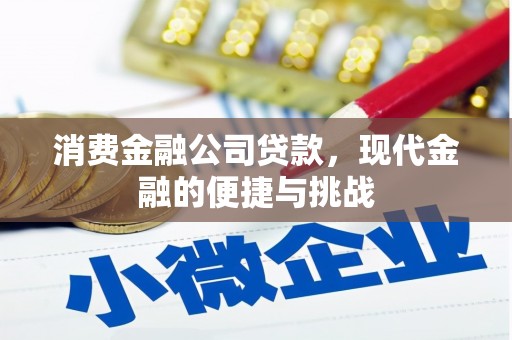 丰县消费金融公司贷款，现代金融的便捷与挑战