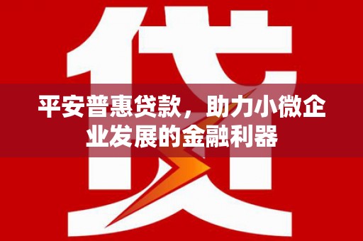 潍坊平安普惠贷款，助力小微企业发展的金融利器