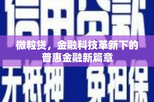 临渭微粒贷，金融科技革新下的普惠金融新篇章