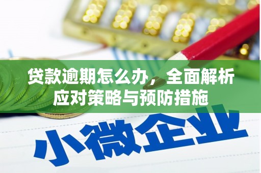 富川贷款逾期怎么办，全面解析应对策略与预防措施