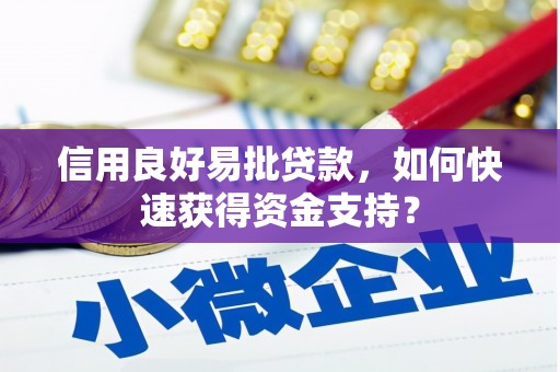 阳春信用良好易批贷款，如何快速获得资金支持？