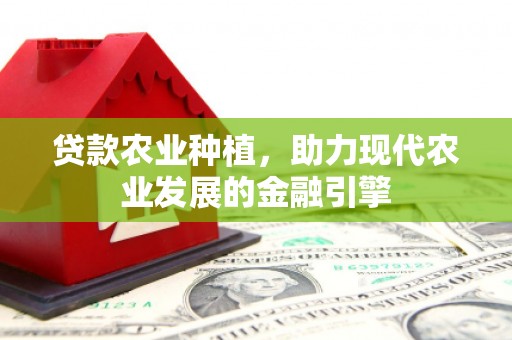 隆回贷款农业种植，助力现代农业发展的金融引擎