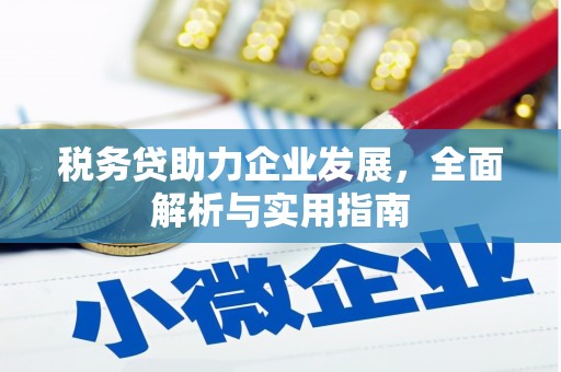 咸宁税务贷助力企业发展，全面解析与实用指南