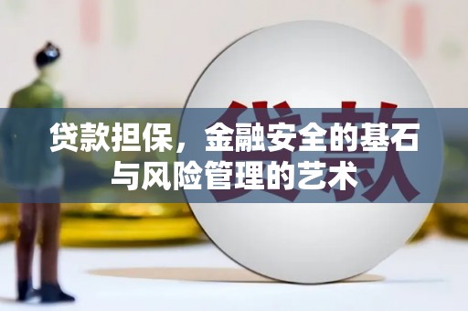 沧源贷款担保，金融安全的基石与风险管理的艺术