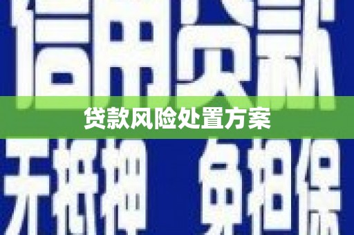 江阴贷款风险处置方案