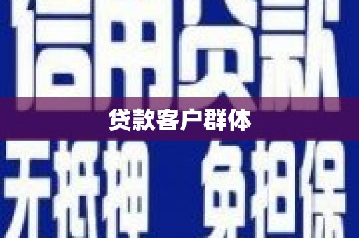 贾汪贷款客户群体