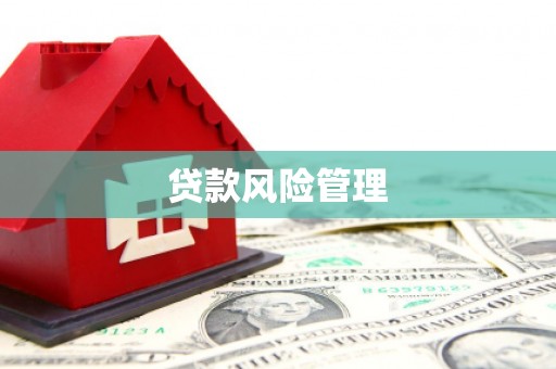 乡宁贷款风险管理