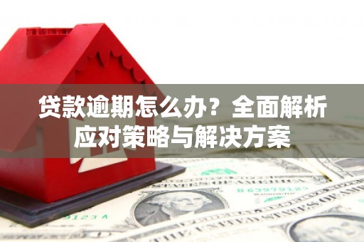芒市贷款逾期怎么办？全面解析应对策略与解决方案