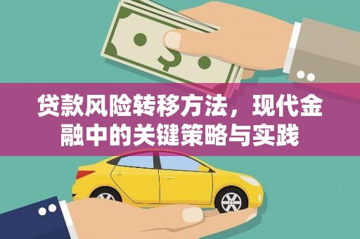 田尾贷款风险转移方法，现代金融中的关键策略与实践