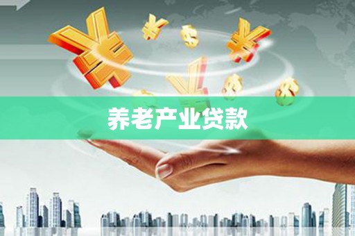 武邑养老产业贷款