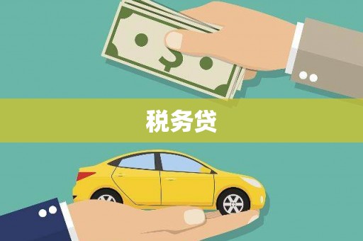 屏南税务贷