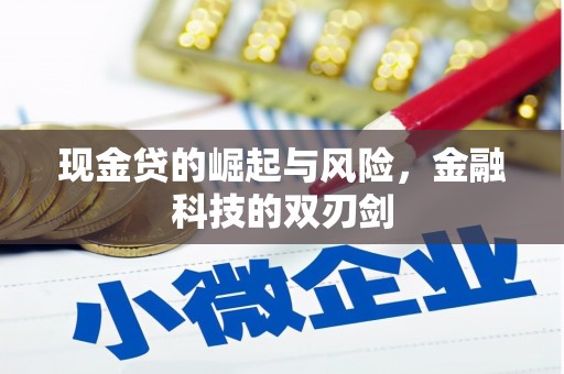 南山现金贷的崛起与风险，金融科技的双刃剑