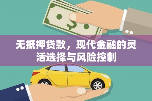 溆浦无抵押贷款，现代金融的灵活选择与风险控制