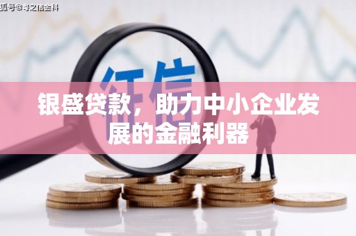 太保银盛贷款，助力中小企业发展的金融利器