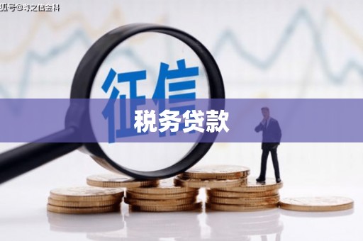 八宿税务贷款