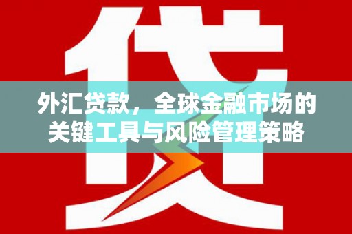 嘉祥外汇贷款，全球金融市场的关键工具与风险管理策略