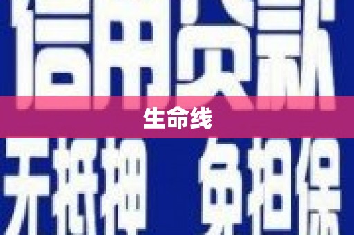 龙文生命线