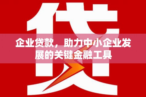 平顶山企业贷款，助力中小企业发展的关键金融工具