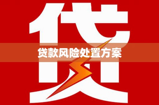 岳麓贷款风险处置方案