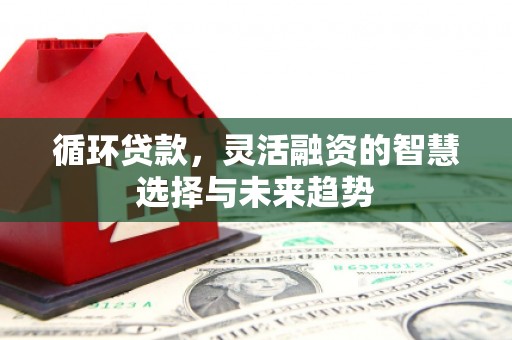 丹徒循环贷款，灵活融资的智慧选择与未来趋势
