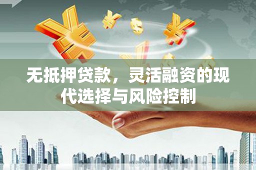 邵阳县无抵押贷款，灵活融资的现代选择与风险控制