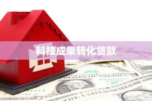 市中区科技成果转化贷款