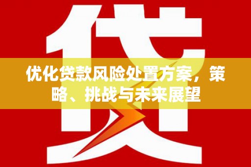 漳州优化贷款风险处置方案，策略、挑战与未来展望
