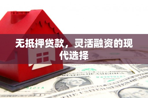 隆回无抵押贷款，灵活融资的现代选择
