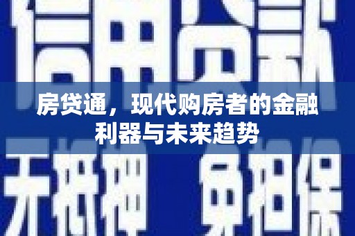 瑞穗房贷通，现代购房者的金融利器与未来趋势