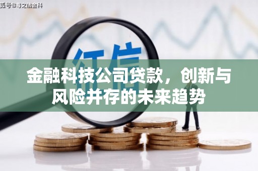 鹤庆金融科技公司贷款，创新与风险并存的未来趋势