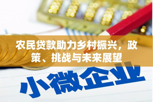 赵县农民贷款助力乡村振兴，政策、挑战与未来展望