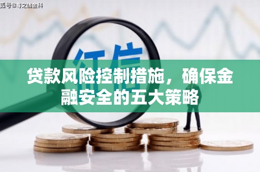 林周贷款风险控制措施，确保金融安全的五大策略