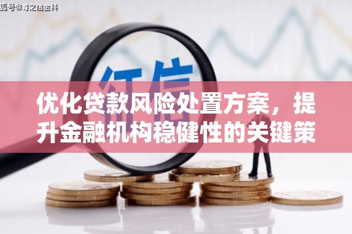 回民优化贷款风险处置方案，提升金融机构稳健性的关键策略