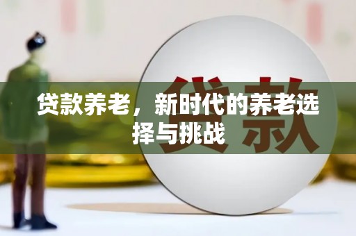 阜康贷款养老，新时代的养老选择与挑战