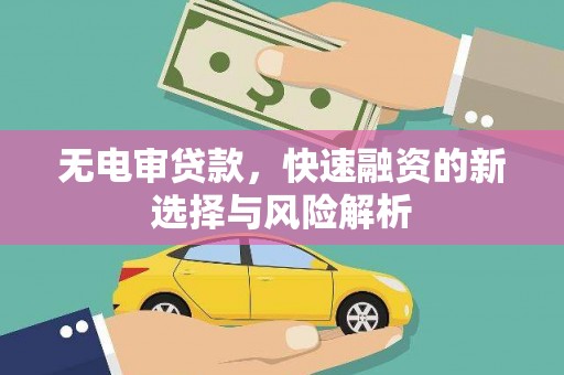 芙蓉无电审贷款，快速融资的新选择与风险解析