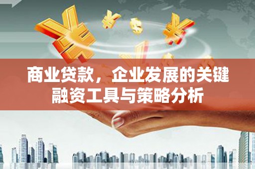 芒市商业贷款，企业发展的关键融资工具与策略分析