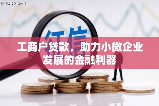 云阳工商户贷款，助力小微企业发展的金融利器