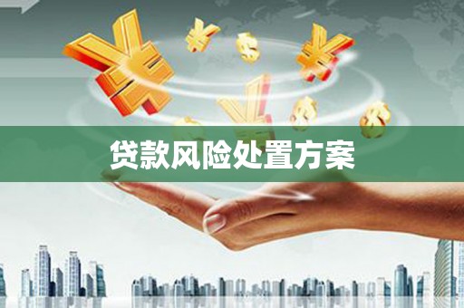 濉溪贷款风险处置方案