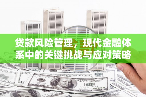随县贷款风险管理，现代金融体系中的关键挑战与应对策略