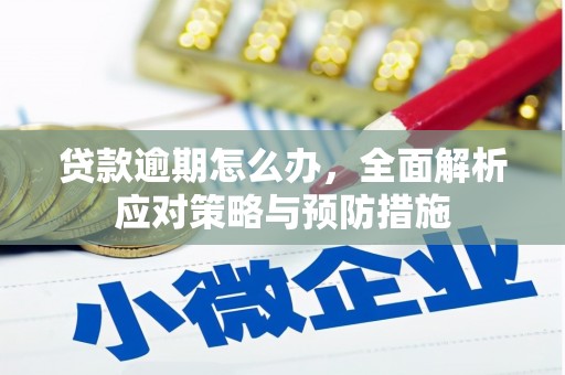 勐海贷款逾期怎么办，全面解析应对策略与预防措施