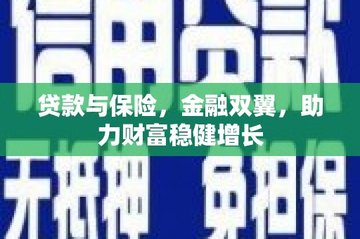 淇滨贷款与保险，金融双翼，助力财富稳健增长