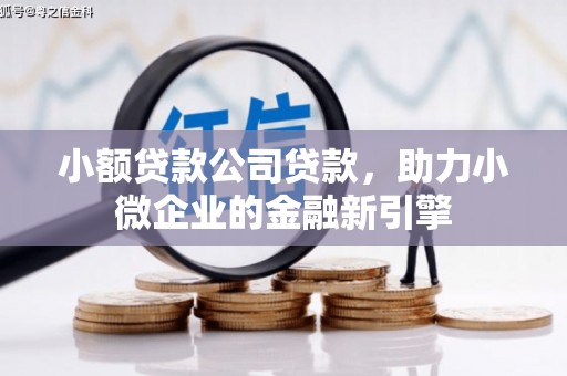大林小额贷款公司贷款，助力小微企业的金融新引擎